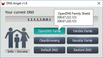 DNS Angel Screenshot 2