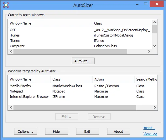 AutoSizer Screenshot 1